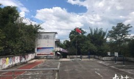 保利沁园业主爆料事件视频,揭露小区管理乱象，业主权益受损