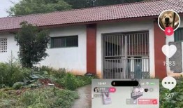 爆料救助流浪狗视频,网友爆料救助流浪狗，温情瞬间感动网友