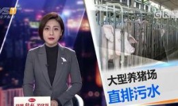 今日一线爆料汕头,今日一线独家揭秘