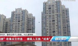 保利沁园业主爆料事件视频,揭露小区管理乱象，业主权益受损