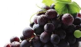 娱乐吃瓜酱葡萄娱乐,揭秘娱乐圈幕后故事与趣味瞬间