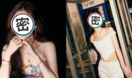 女歌手被爆料黑料视频,真相与争议并存
